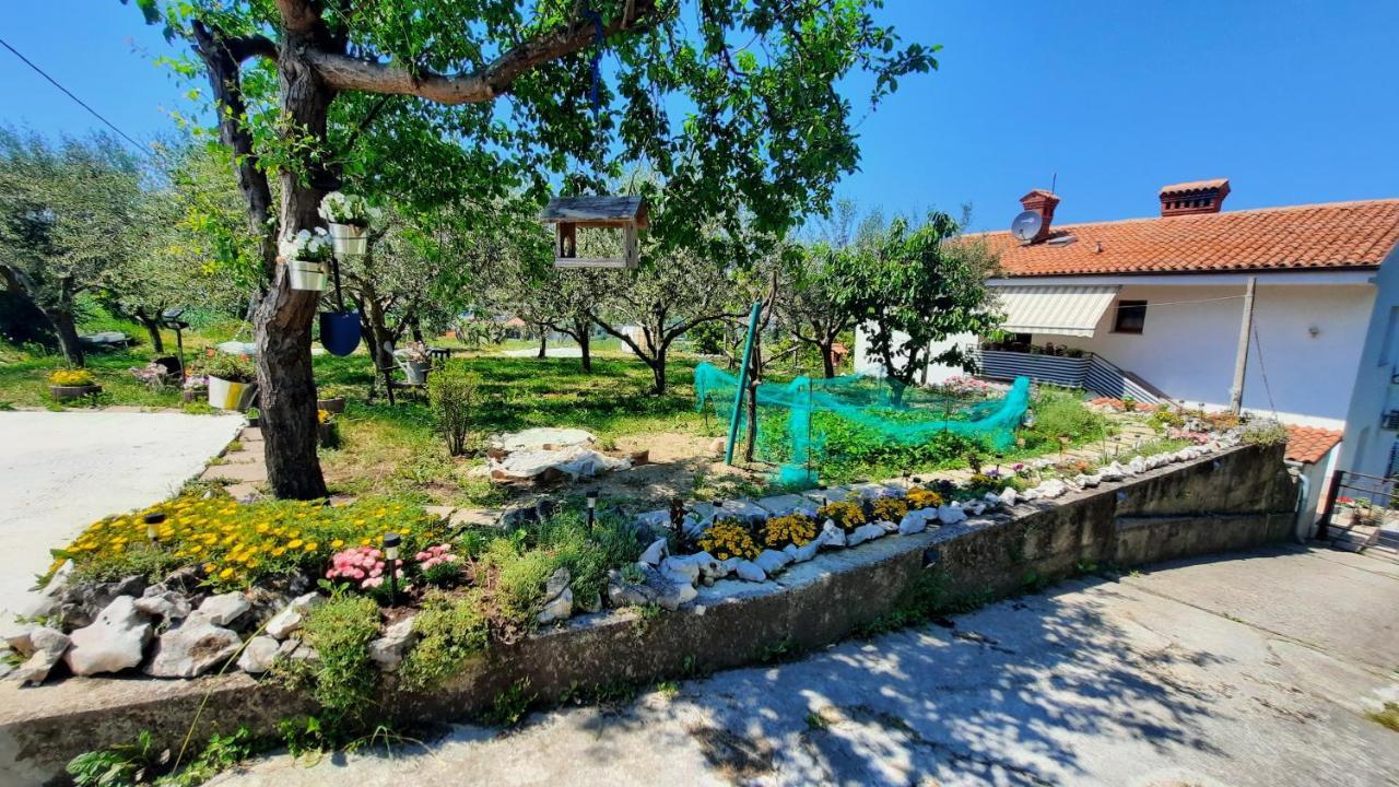 Apartma Bajc Secovlje Exterior photo